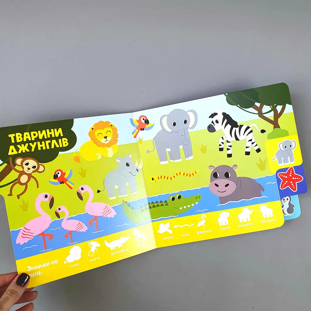 Звірятка. Знайди-но мене! (українською мовою) А1710003У - фото 2