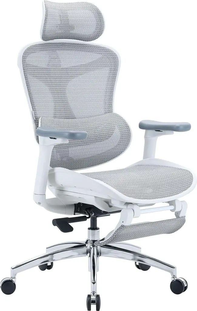 Офісне крісло Sihoo DORO C300L Mesh White with footrest (DORO-C300L-A3-102-JT) - фото 3
