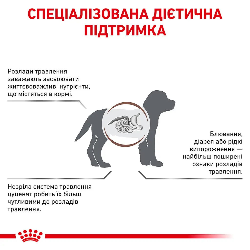 Сухий дієтичний корм для кошенят Royal Canin Gastrointestinal Kitten при порушенні травлення, 2 кг (1228020) - фото 6