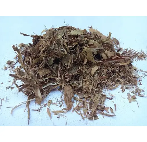 Ліщина Кора Горішник Орішина Лісовий горіх Corylus avellana - фото 2