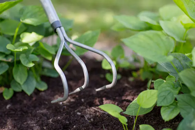 Культиватор S-ручка Fiskars Ergonomic (1076978) - фото 4