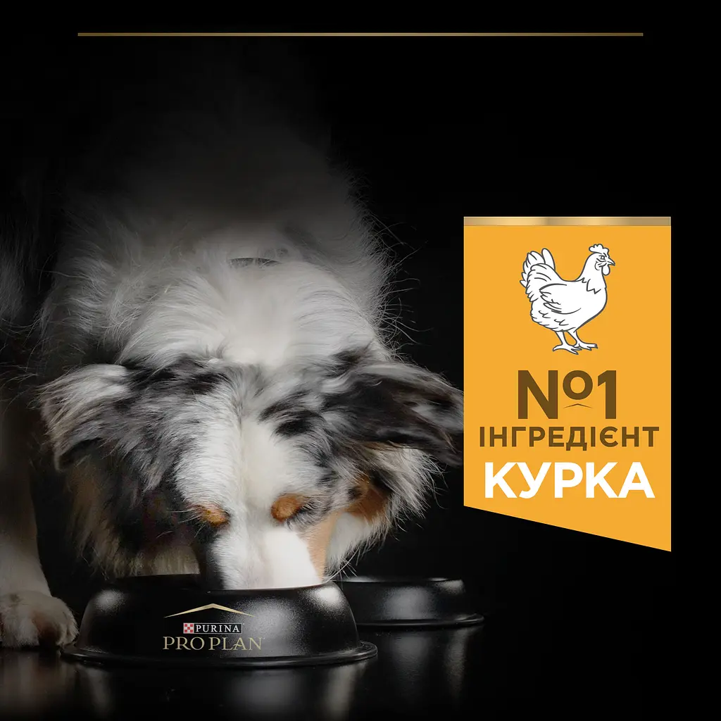 Сухий корм Purina Pro Plan Medium Adult 1+ Everyday Nutrion для дорослих собак середніх порід з куркою 14 кг + 2.5 кг (12375801)  - фото 6