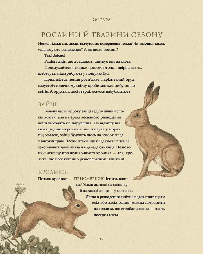 Колесо року. Ілюстрований путівник ритмами природи - фото 8