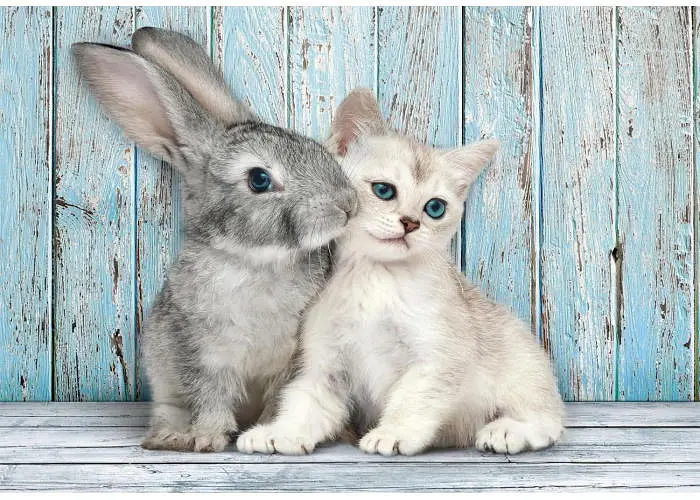 Пазл Clementoni High Quality Collection: Милі друзі (High Quality Collection - Cat & Bunny Puzzle - 500 pcs.), 500 ел. (35539) - фото 2