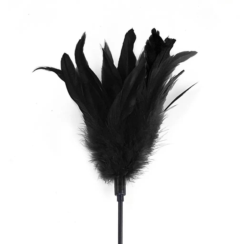 Лоскоталка чорна Art of Sex - Feather Paddle, перо молодого півня Art of Sex SO6609 95086 - фото 2