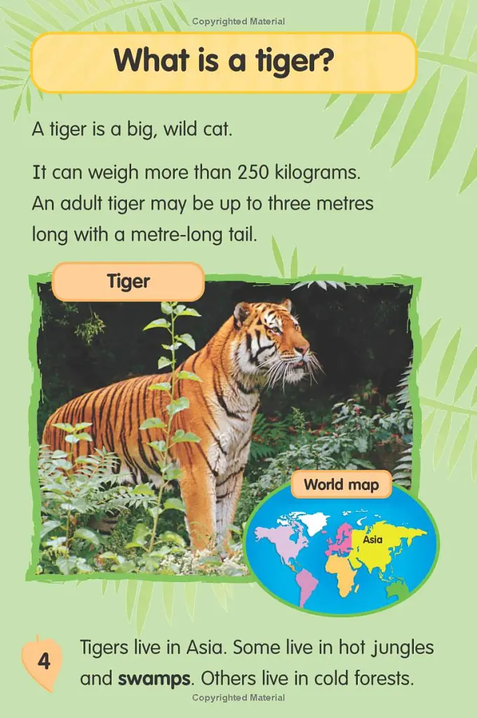 I Love Reading. 550 Words. Tiger! - Monica Hughes - фото 6