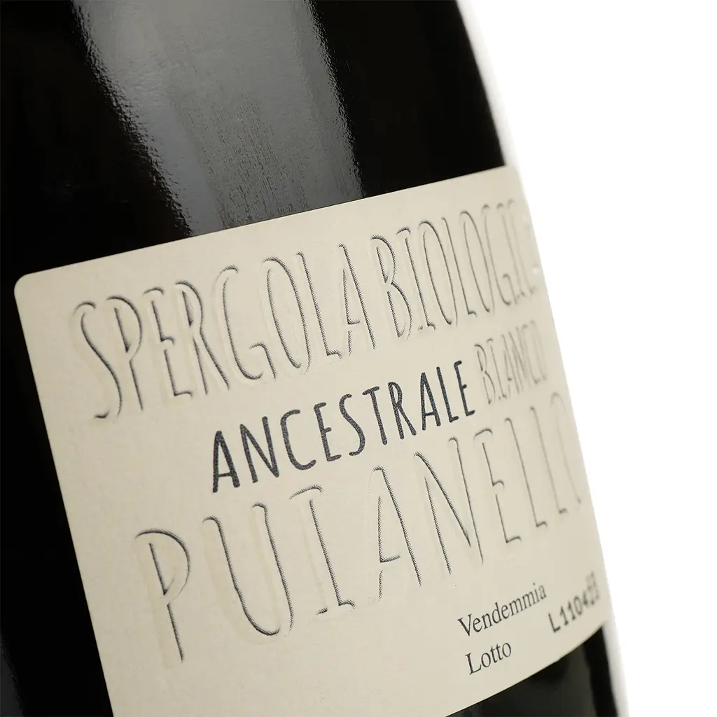 Вино игристое Puianello Ancestrale Biologica белое сухое 0.75 л - фото 3