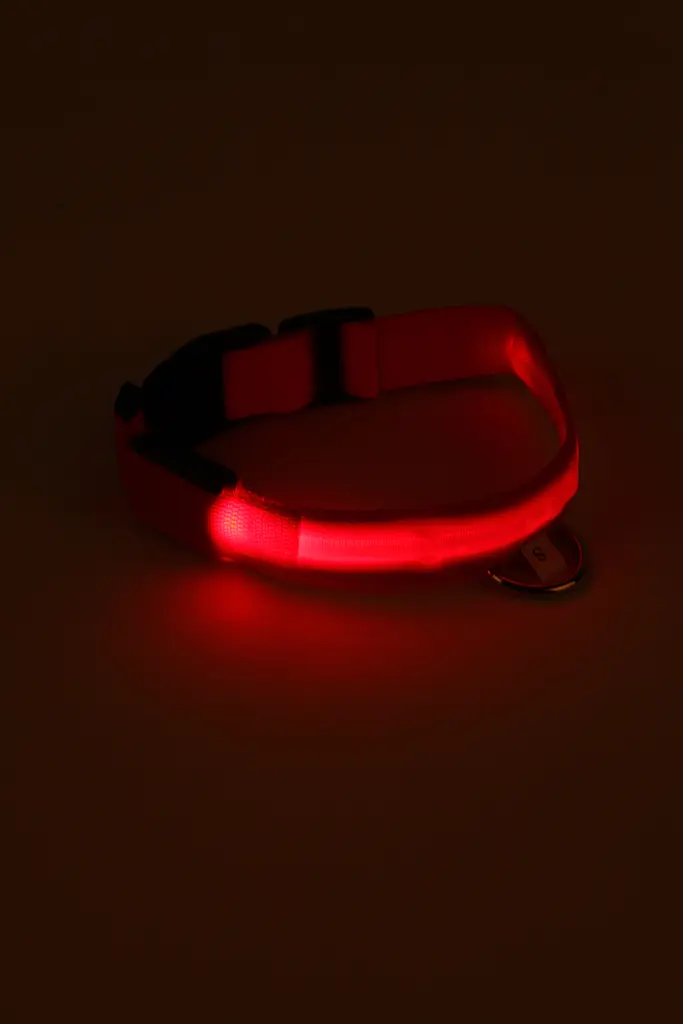 Led нашийник для собак на батарейках, розмір М 40-48 см, 2,5см ДМР1932 Червоний (2000989398301A) shop (2000989398301) - фото 3