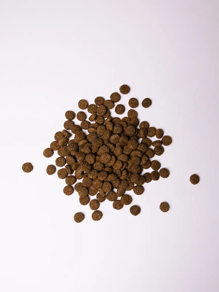 Сухой корм для щенков крупных пород Savory Junior Large rich in Fresh Turkey & Chicken со свежим мясом индейки и курицы 12 кг - фото 3