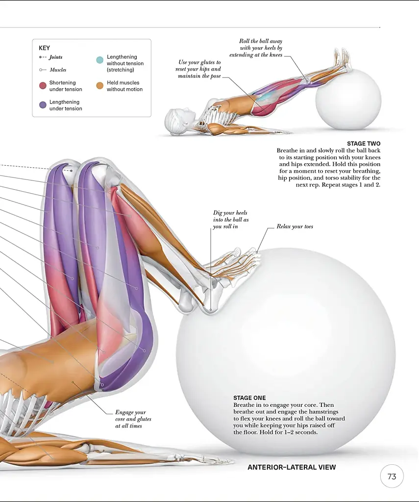 Science of Strength Training - фото 7