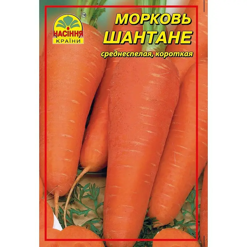 Насіння моркви Шантане 0,5 кг - фото 3