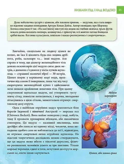Найнебезпечніші істоти планети. Енциклопедія для допитливих - Андрій Гапченко - фото 13