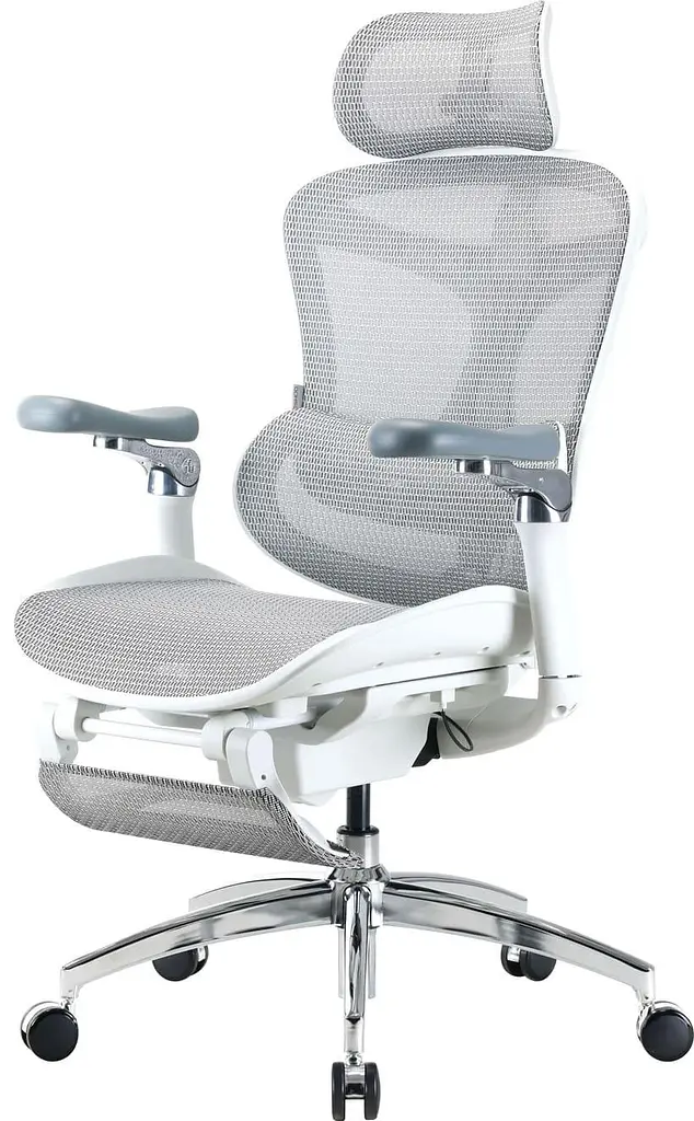 Офісне крісло Sihoo DORO C300 Pro Mesh White with footrest (DORO-C300-PRO-M102-JT) - фото 3