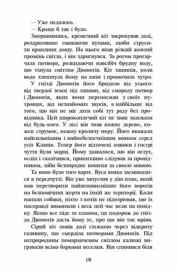 Коти-Вояки. Темні часи - фото 3