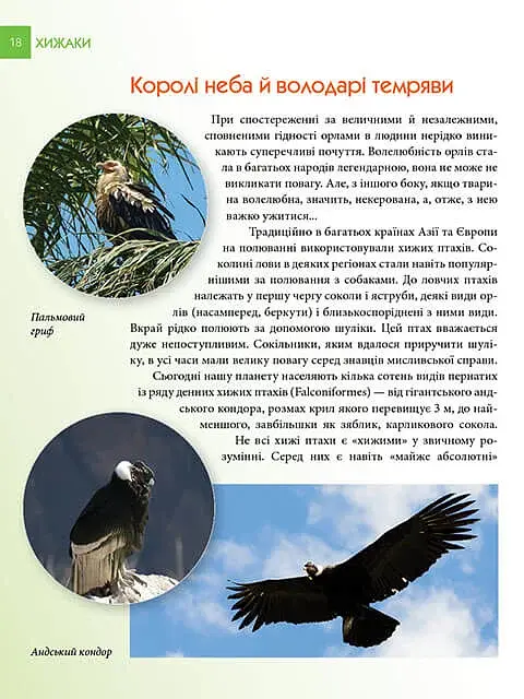 Енциклопедія для допитливих А5 : Хижаки (Українська, 01 КРЕЙДОВАНИЙ ) - фото 2