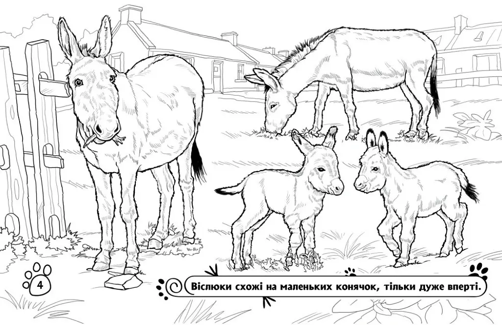 Розмальовка з тваринами. Тварини на фермі - - фото 4