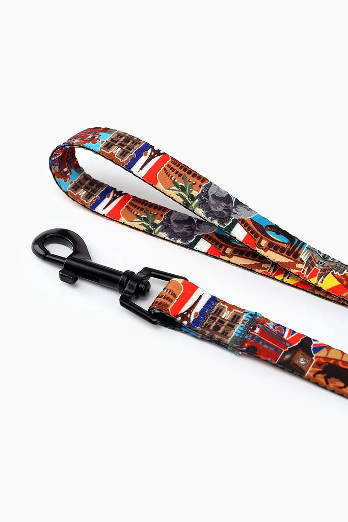 Повідець ТМ HIDOG Europe , ширина 25 мм (довжина 152 см) (2100102347015A)(SN) shop (2100102347015) - фото 4