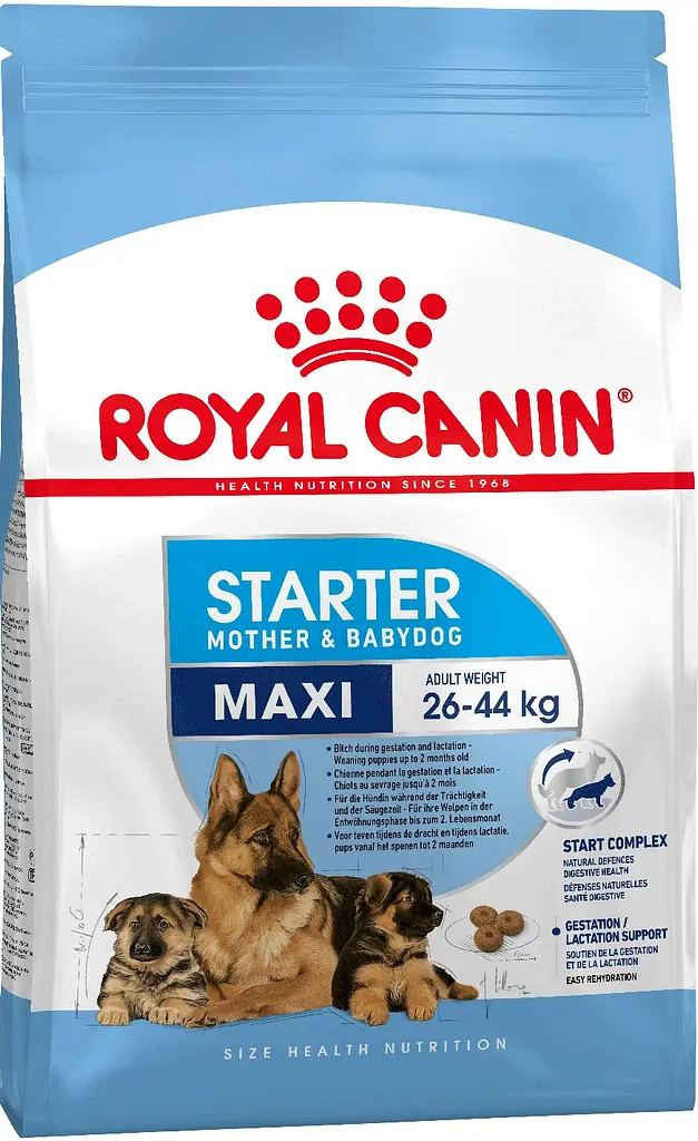 Сухий корм Royal Canin Maxi Starter для щенят великих порід до 2 місяців 4 кг (3182550778770)