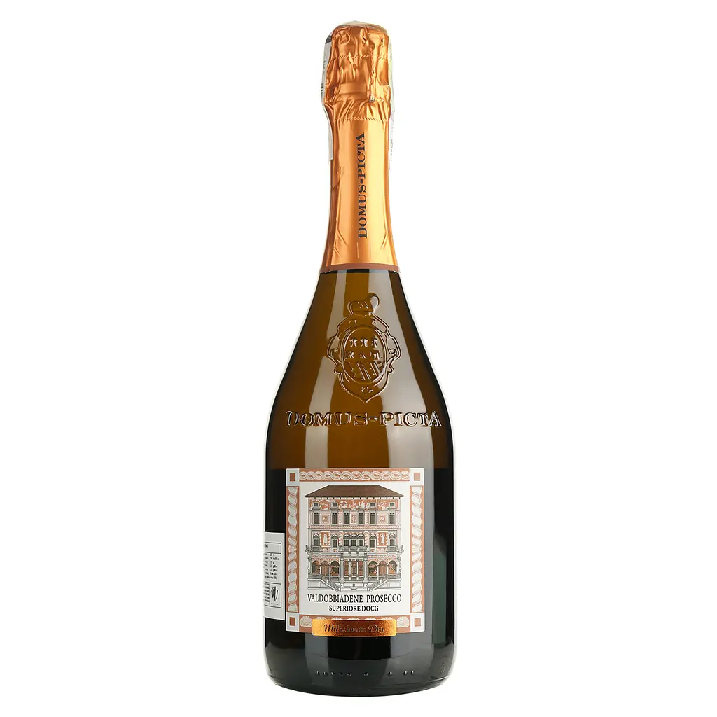 Игристое вино Domus-pictA Valdobbiadene Prosecco Superiore DOCG Dry Millesimato, белое, сухое, 0,75 л - фото 2