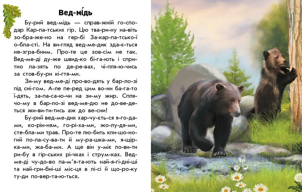 Книга Ранок Читаю про Україну. Тварини гір - Юлія Каспарова (С366021У) - фото 2