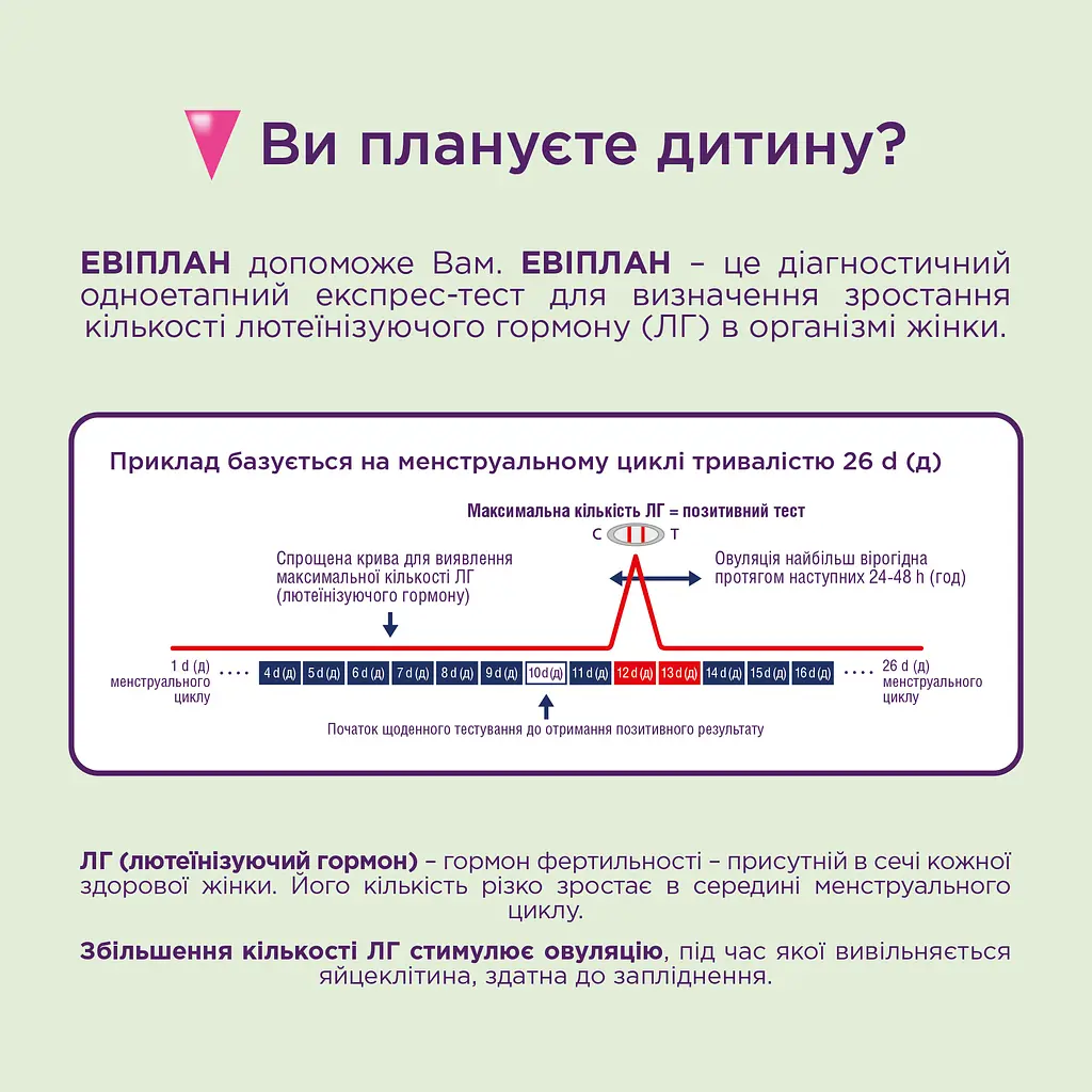 Набір тест-смужок Eviplan для визначення овуляції та вагітності, 5+1 шт. (4033033418036) - фото 4