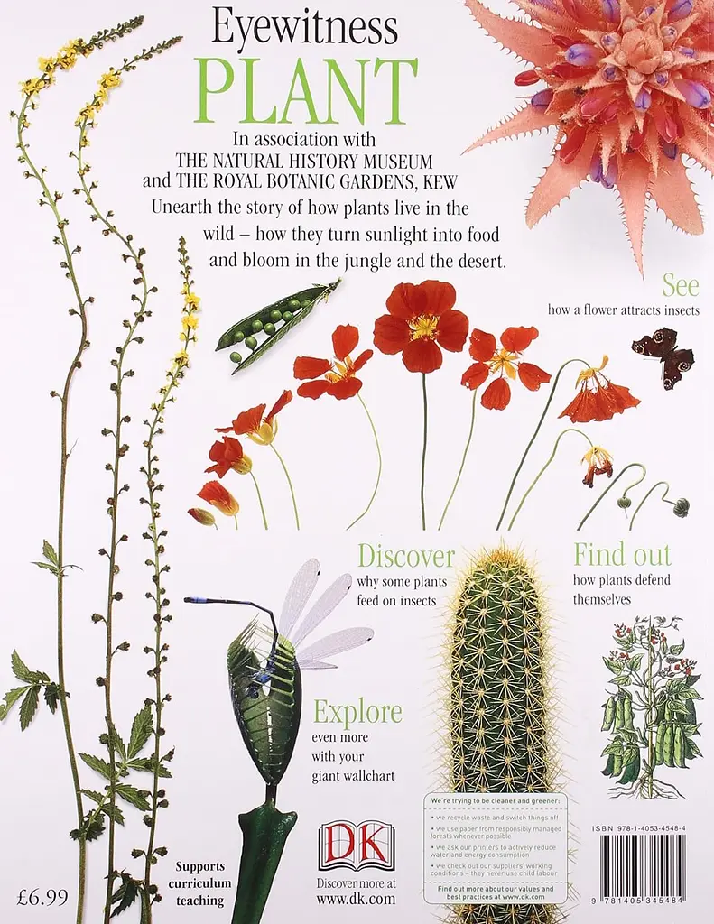 Eyewitness: Plant - фото 2