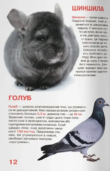 Велика книжка. Свійські тварини - - фото 5