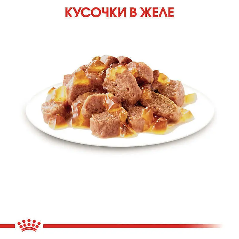 Уцінка. Набір вологого корму для дорослих стерилізованих котів Royal Canin Sterilised in Jelly шматочки в желе 1.02 кг (12 шт. х 85 г)  - фото 4