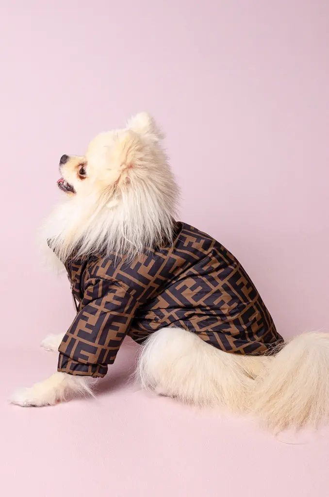 Куртка для собак Fendi з теплою підкладкою на застібці XS - фото 2