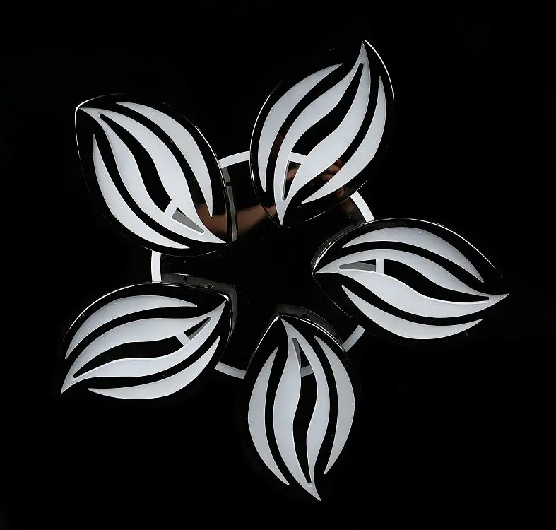 Люстра стельова LED Splendid Ray LK23/5, 120W, чорна/біла, сучасний стиль, з пультом, димер - фото 5
