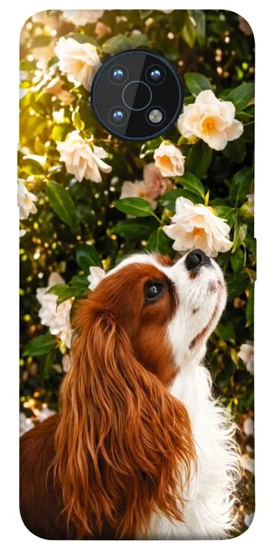 TPU чохол Demsky Flower spaniel для Nokia G50