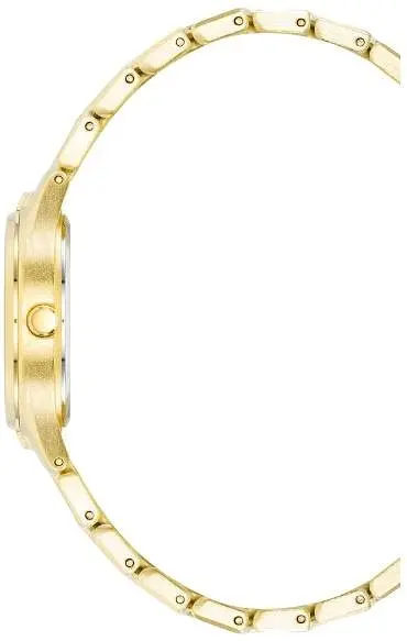 Годинник Anne Klein AK/4060CHGB - фото 2
