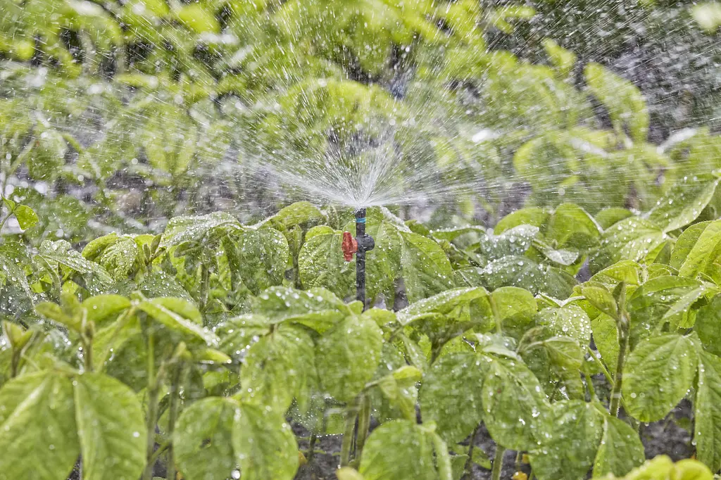 Мікронасадка Gardena Micro-Drip-System секторна 360°, 5 шт (13322-20) - фото 3