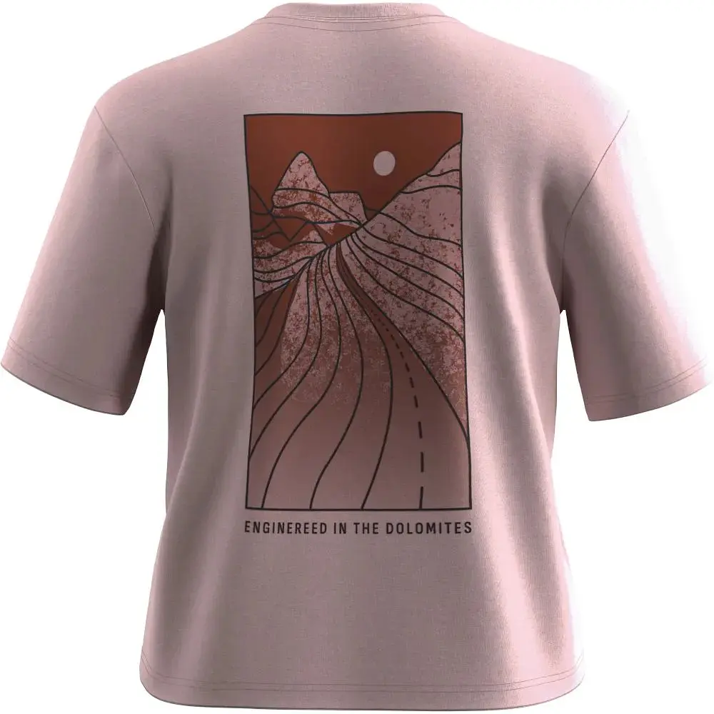 Футболка женская Salewa Eagle Sunset Loose T-Shirt Women S Розовый - фото 2
