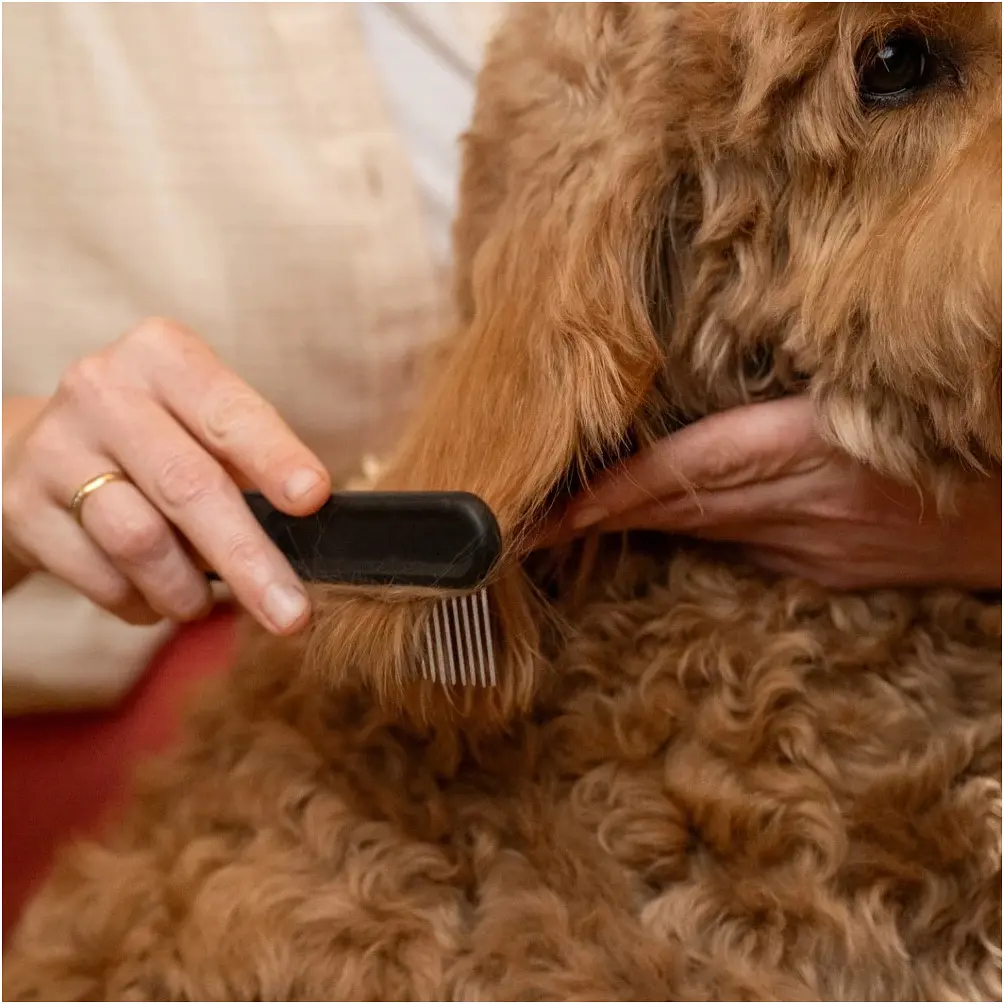Гребінець із широкими зубцями Fiskars Pet Care (2009134) - фото 5