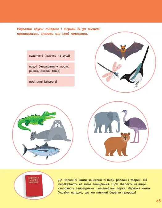 Енциклопедії Кенгуру. Дітям про світ навколо нас - Яна Кісилева - фото 7