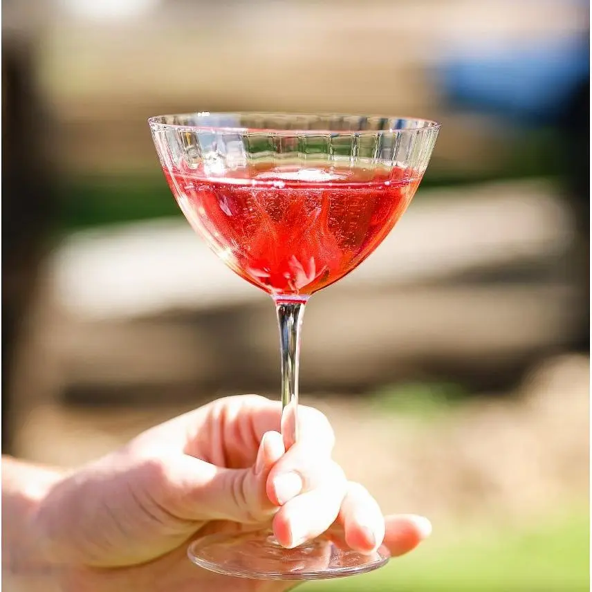 Набір келихів Luigi Bormioli Swing Martini 220 мл 4 шт.(114782) - фото 5