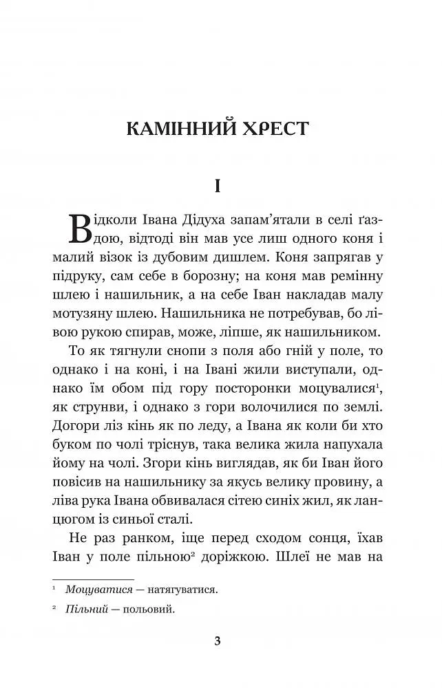 Камінний хрест - Василий Стефаник (978-966-10-5347-1) - фото 5