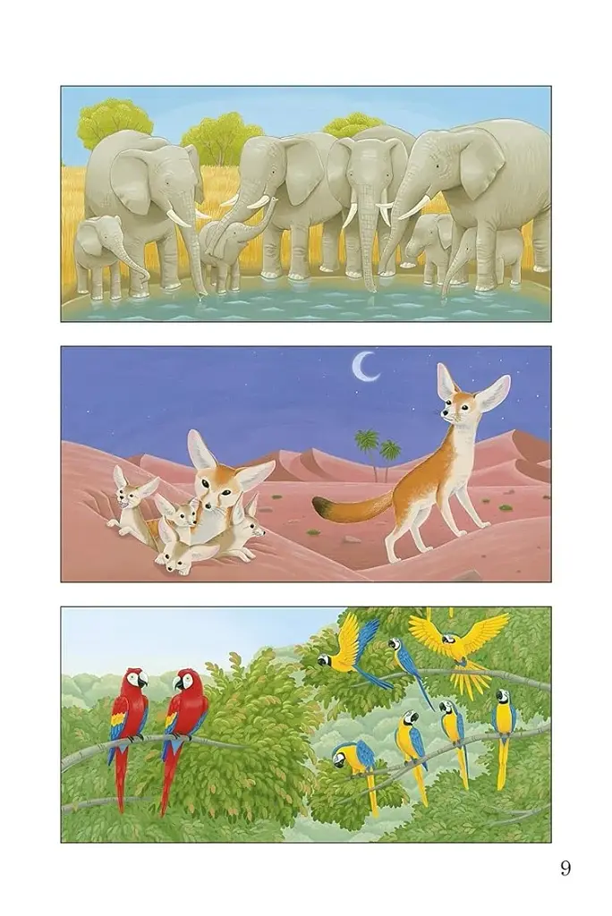 Ladybird Readers. Level 2. Wild Animals - фото 5