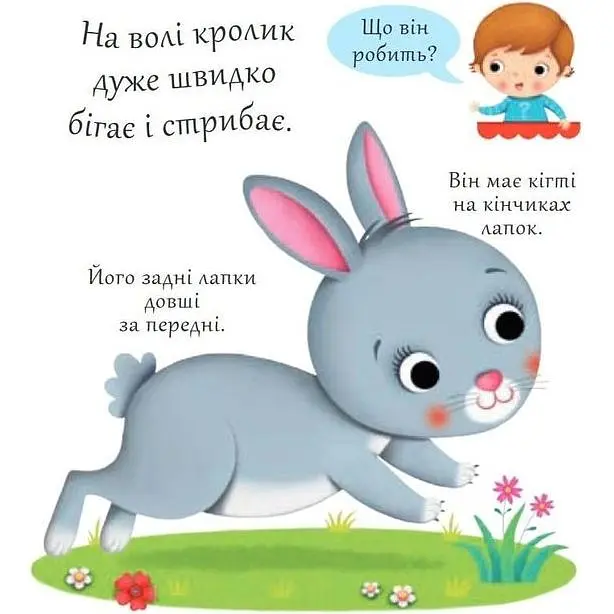 Книжка-картонка Богдан Хто це? Кролики - Бомон Емілія та Беліно Наталя (978-966-10-5139-2) - фото 2