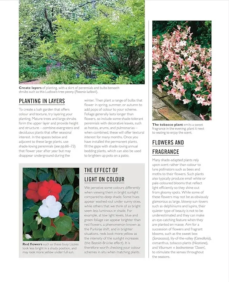 Grow Shade Garden. Essential Know-how and Expert Advice for Gardening Success - фото 10