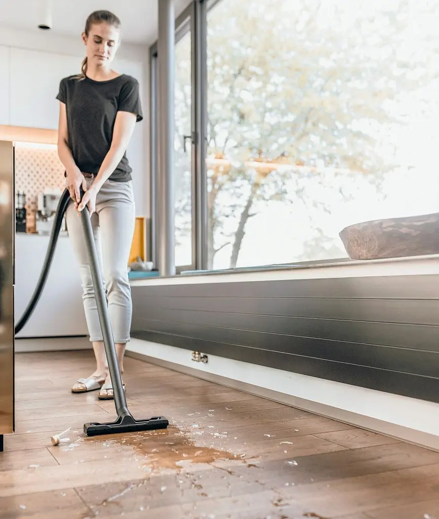 Миючий пилосос Karcher WD 2 Plus V-12/4/18/C (1.628-009.0) [87843] - фото 5