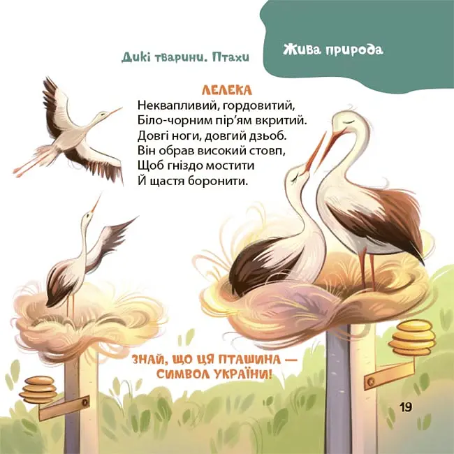 Віршенята-загадки для малят. 3–5 років - Юлія Пеліхова - фото 8