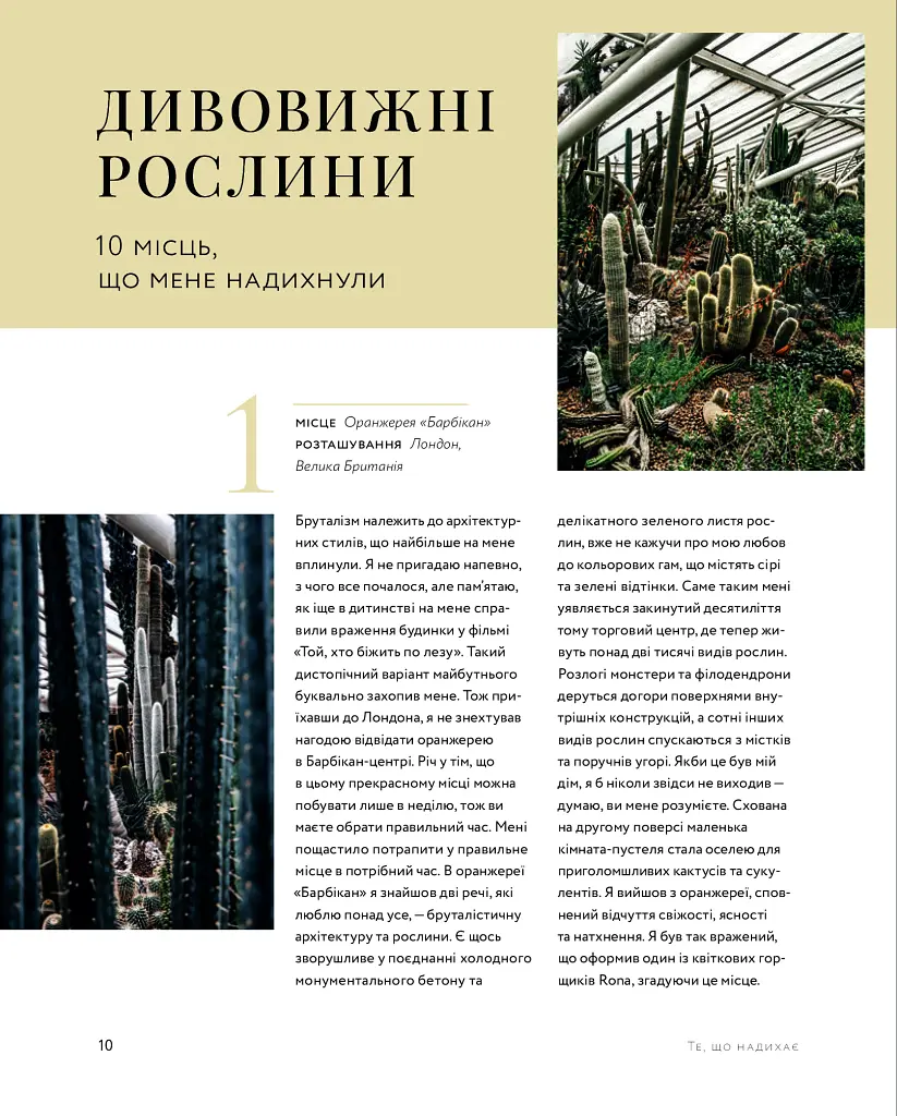 Дикі інтер’єри. Красиві рослини в чудових просторах - фото 6