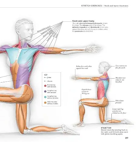 Science of Stretch - фото 7