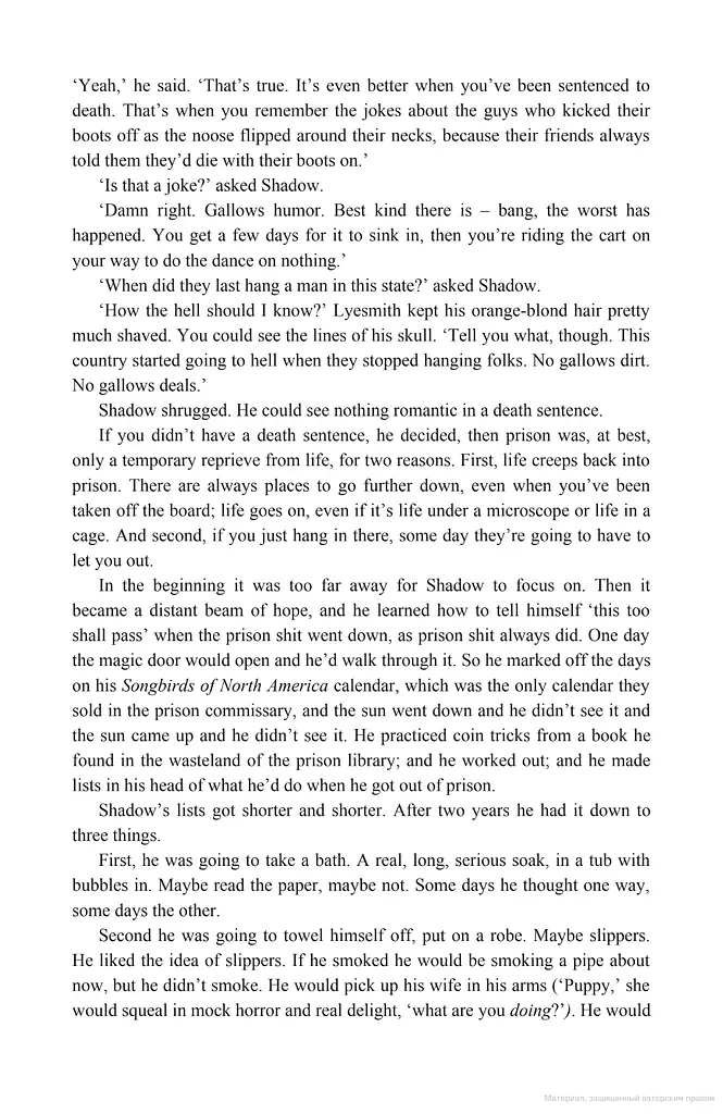 American Gods - фото 3