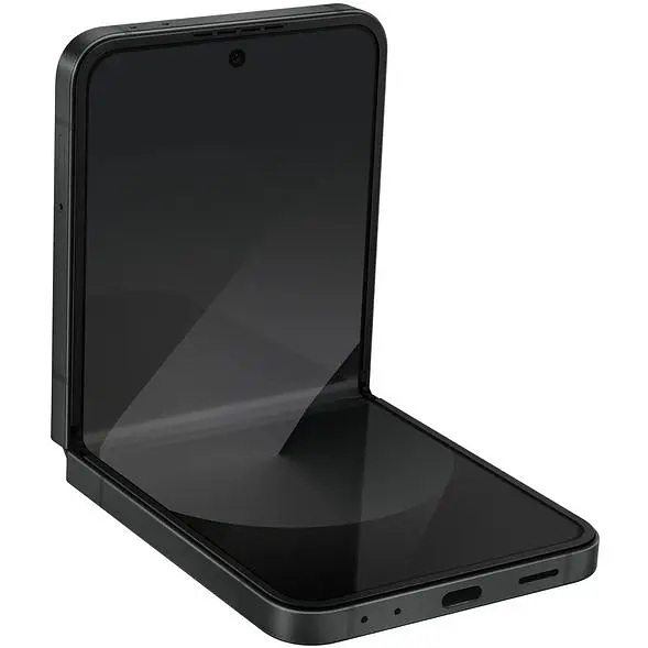 Мобильный телефон Samsung Flip 6 12/256GB Crafted Black SM-F741U - фото 4