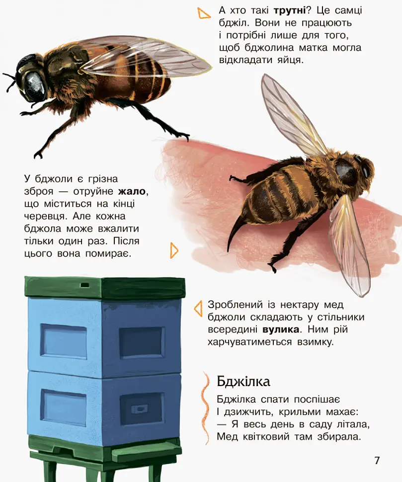 Дитяча енциклопедія про комах 614014 для дошкільнят - фото 2