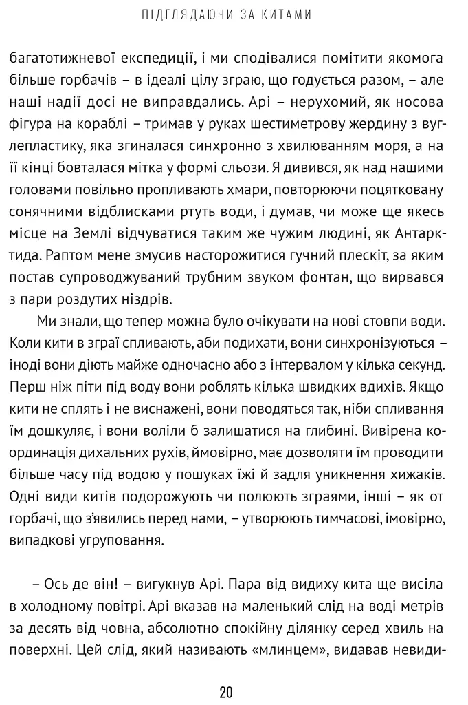 Підглядаючи за китами. Минуле, сьогодення та майбутнє найбільших у світі тварин - фото 7