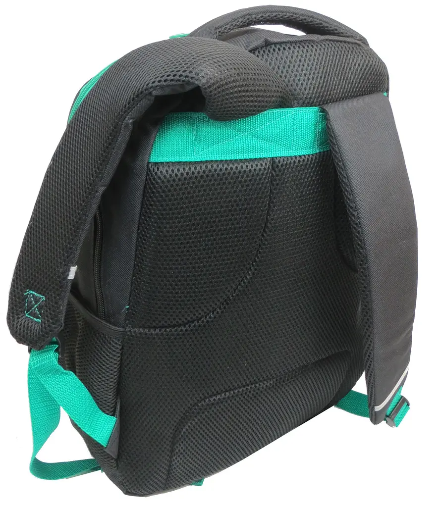 Рюкзак молодіжний Paso 00-699PAN 22L Різнокольоровий - фото 5